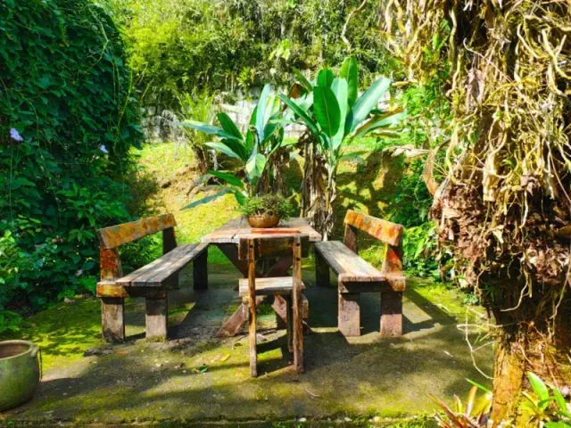 Conjunto rústico de jardim com bancos e mesa de madeira em meio a plantas tropicais exuberantes.