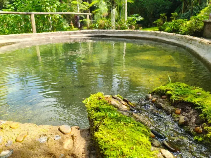 Lago de pedra coberto de musgo com águas calmas e uma pequena cascata em um jardim verdejante.