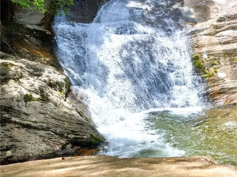 Pequena cachoeira que deságua sobre rochas em um riacho cristalino em uma ravina arborizada.
