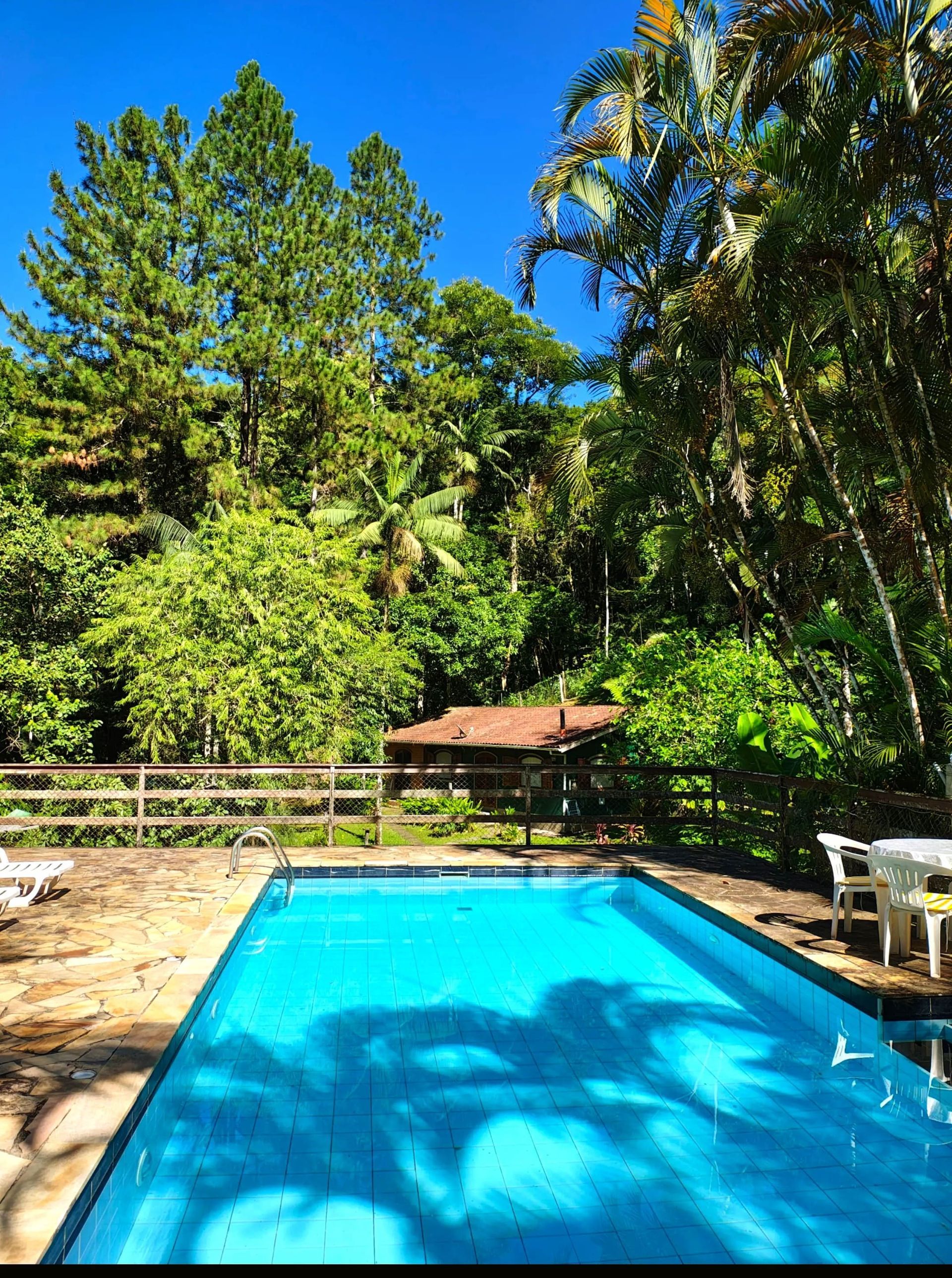 Piscina azul brilhante em um quintal tropical com árvores altas e um pequeno gazebo, sob um céu claro.
