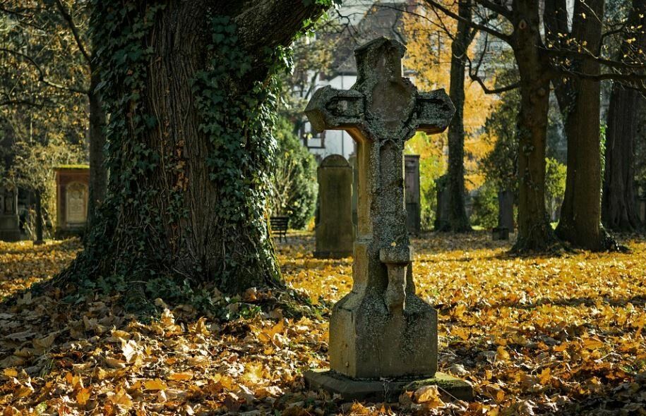 cremation services in Morrison, IL