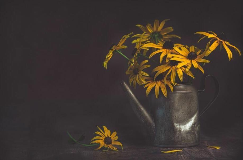 cremation services in Morrison, IL