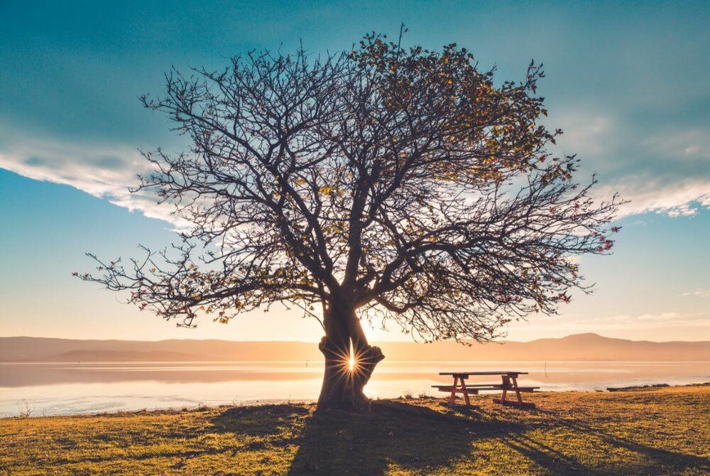 cremation service in Fulton, IL