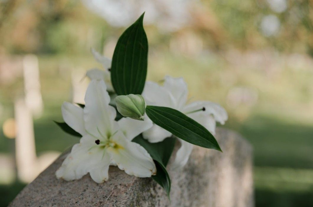 White lilies on a cemetery marker for compassionate funeral and cremation care in Dixon, IL