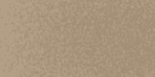 Un fond uni et texturé dans une teinte neutre, brun clair ou beige.