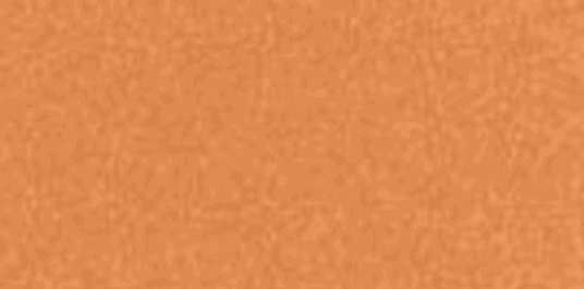 Un fond uni et texturé dans une chaude teinte orangée.