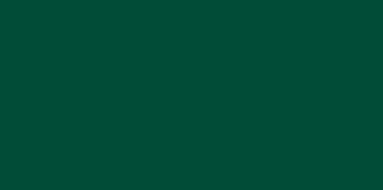 Un fond uni vert forêt foncé.