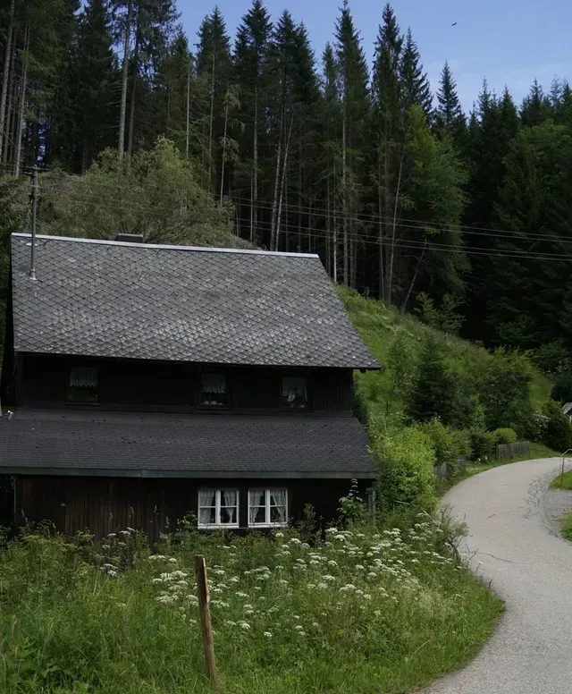 A dark brown wooden house with a shingled roof stands beside a winding gravel path in front of a dense pine forest.