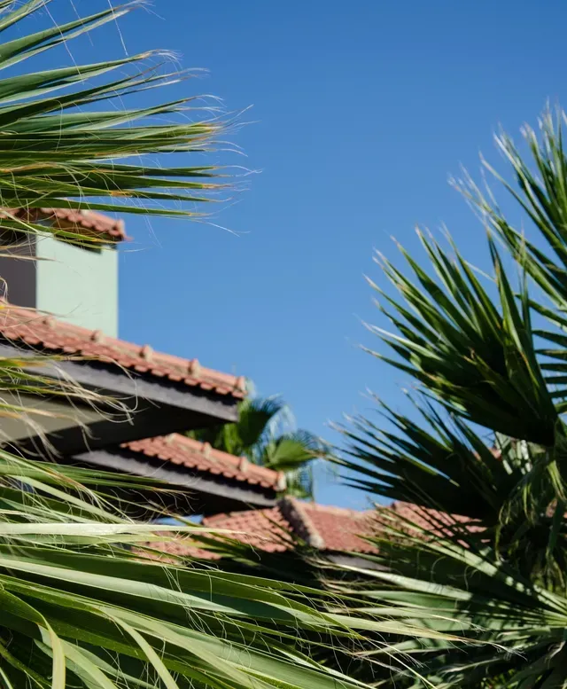 Palm fronds frame a multi-tiered, reddish-brown tiled roof against a clear, bright blue sky.