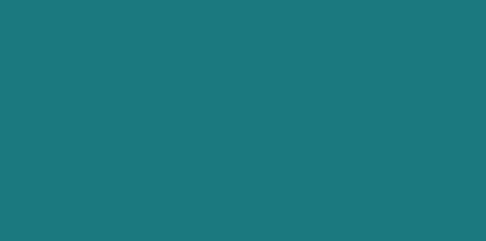 Un fond uni de couleur turquoise.
