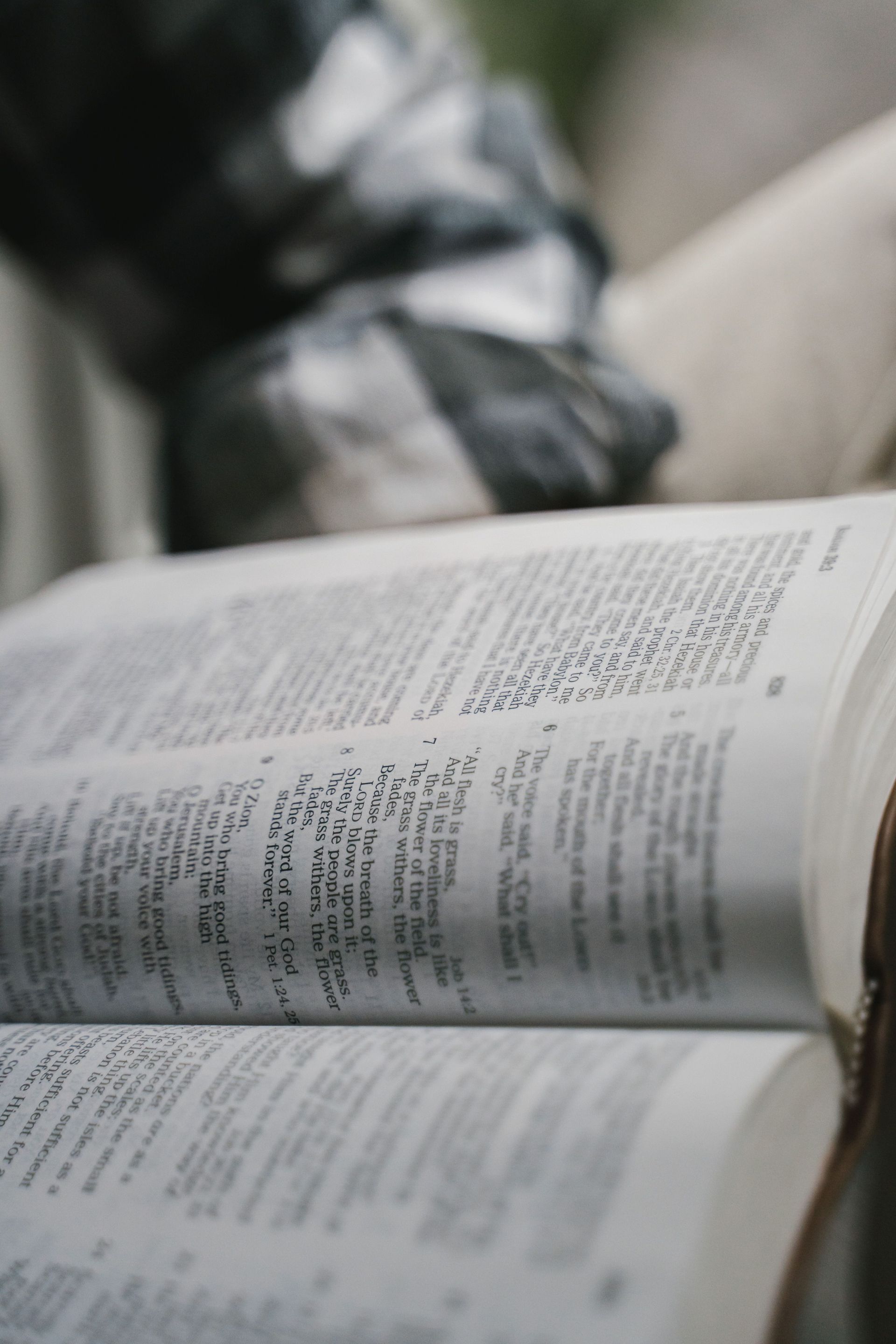 Congregation members in small group gathering with open Bibles and coffee cups