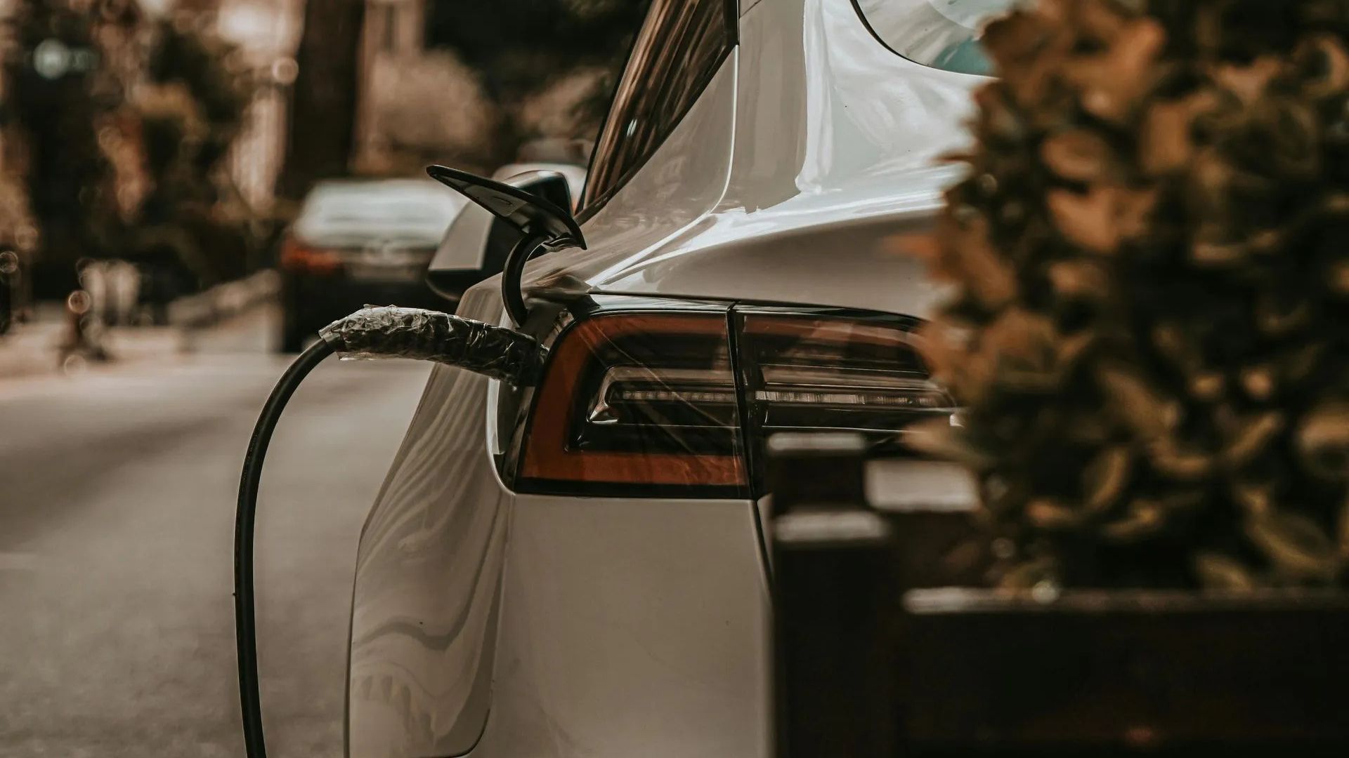 White car charging at an outdoor station beside a tree-lined street