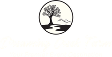 Dreaming Creek Farm Logo