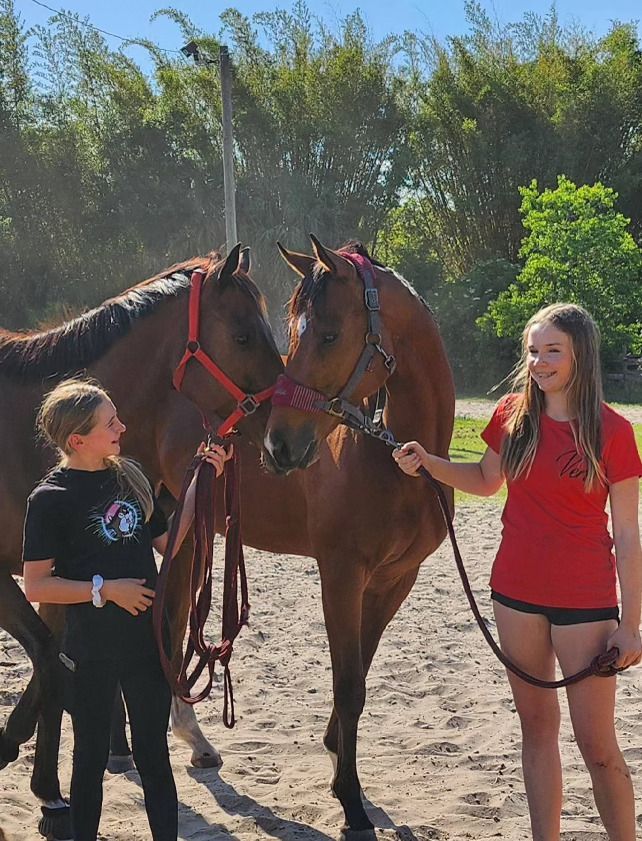 A girl in a red shirt is standing next to a brown horse