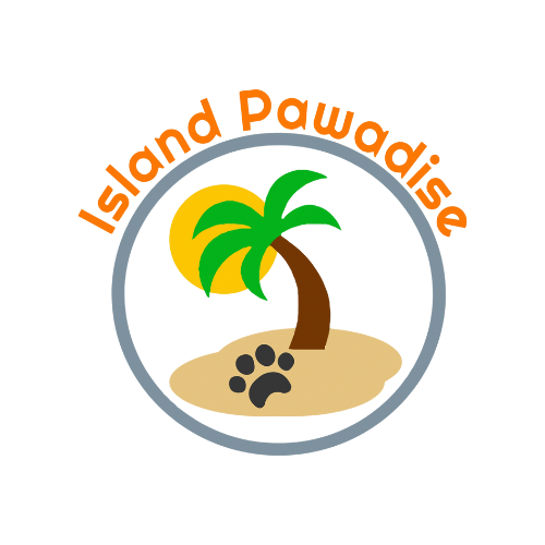 Grosse Ile Municipal Airport Aeronautical Facilities