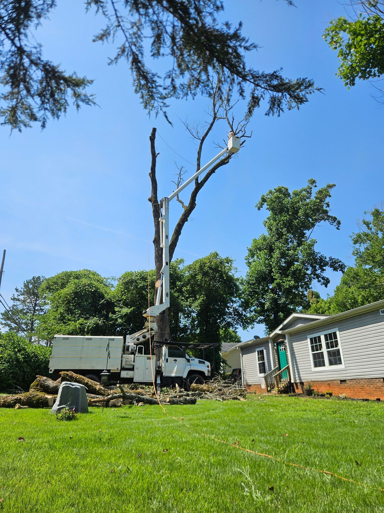Tree being trimmed by a truck with a boom lift near a house on a sunny day.