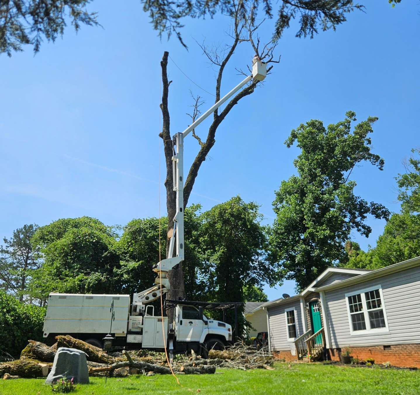 A tree being trimmed by a truck with a boom lift next to a house under a blue sky.