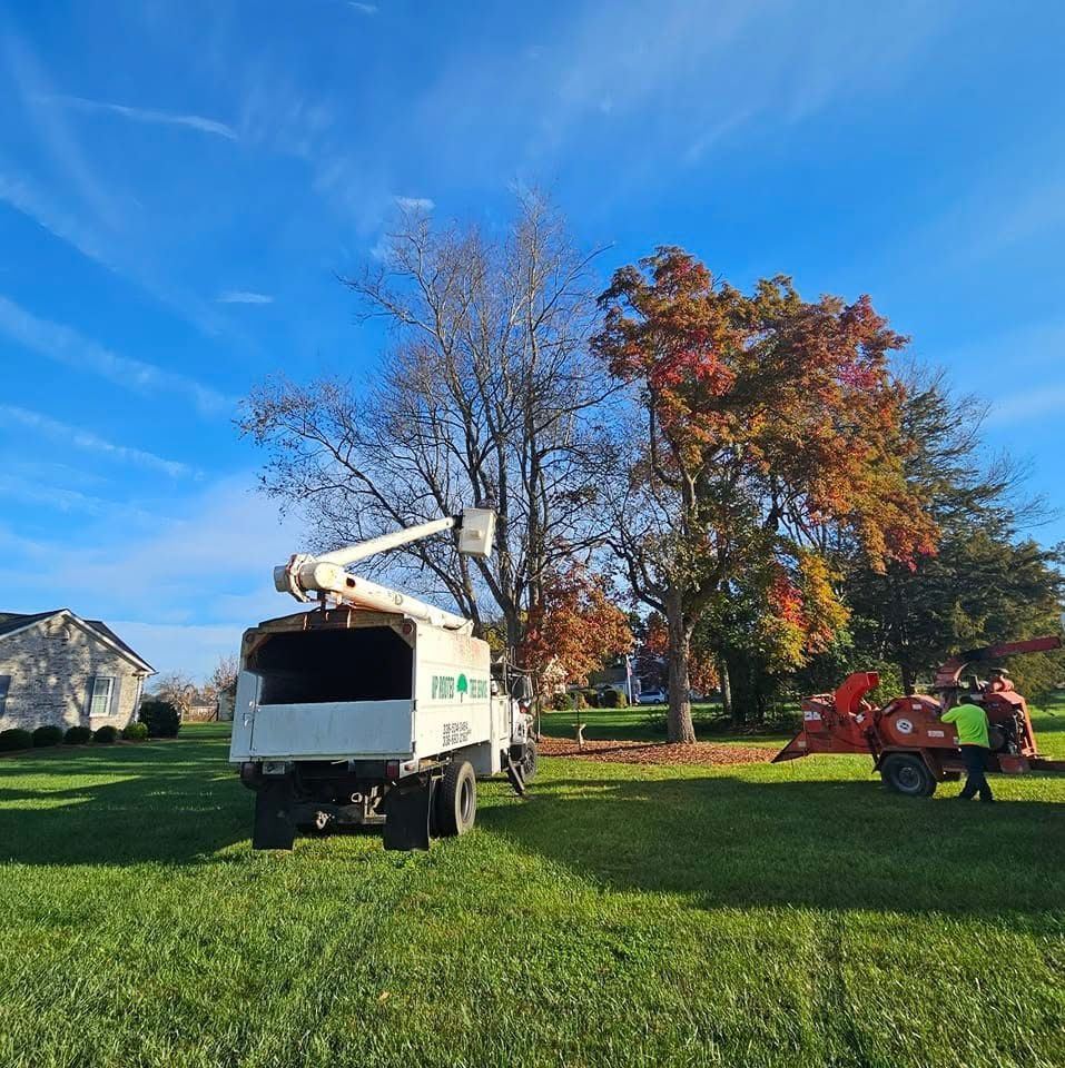 Tree service truck and chipper on a green lawn; a tree is being trimmed under a blue sky.
