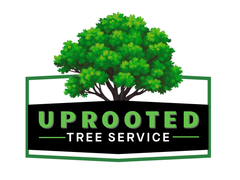 Logo: Green tree with "UPROOTED TREE SERVICE" text in a green and black frame.