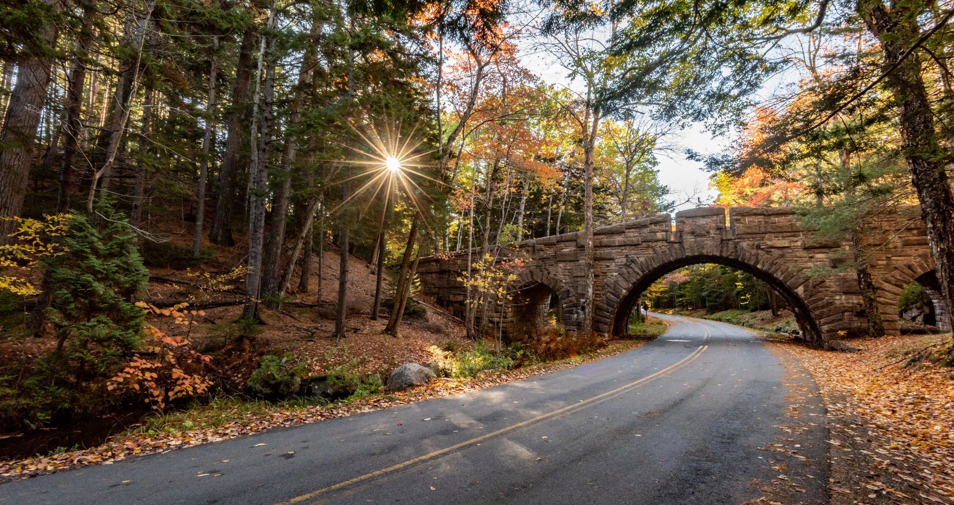 A stone bridge over a road in the woods with the sun shining through the trees.