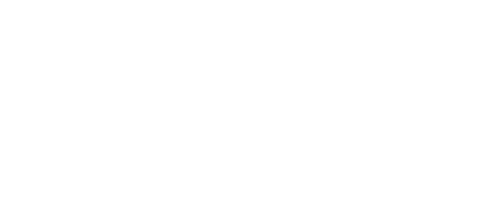 Upfront Tech