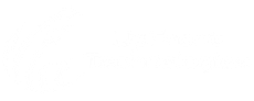 Upfront Tech