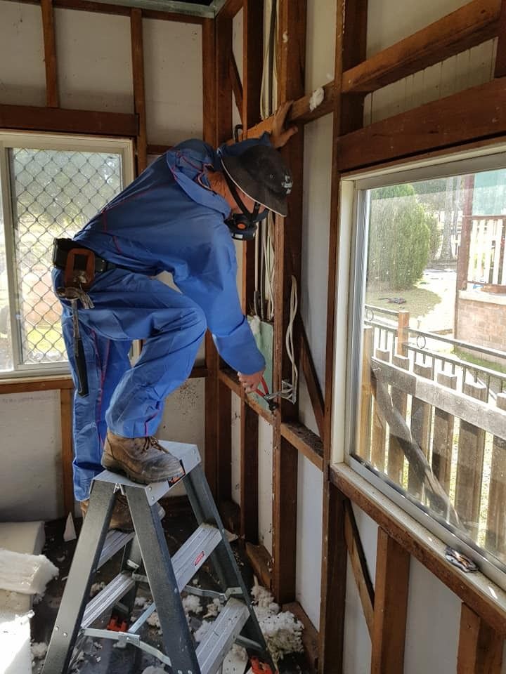 Expert Removing Asbestos from Room Walls