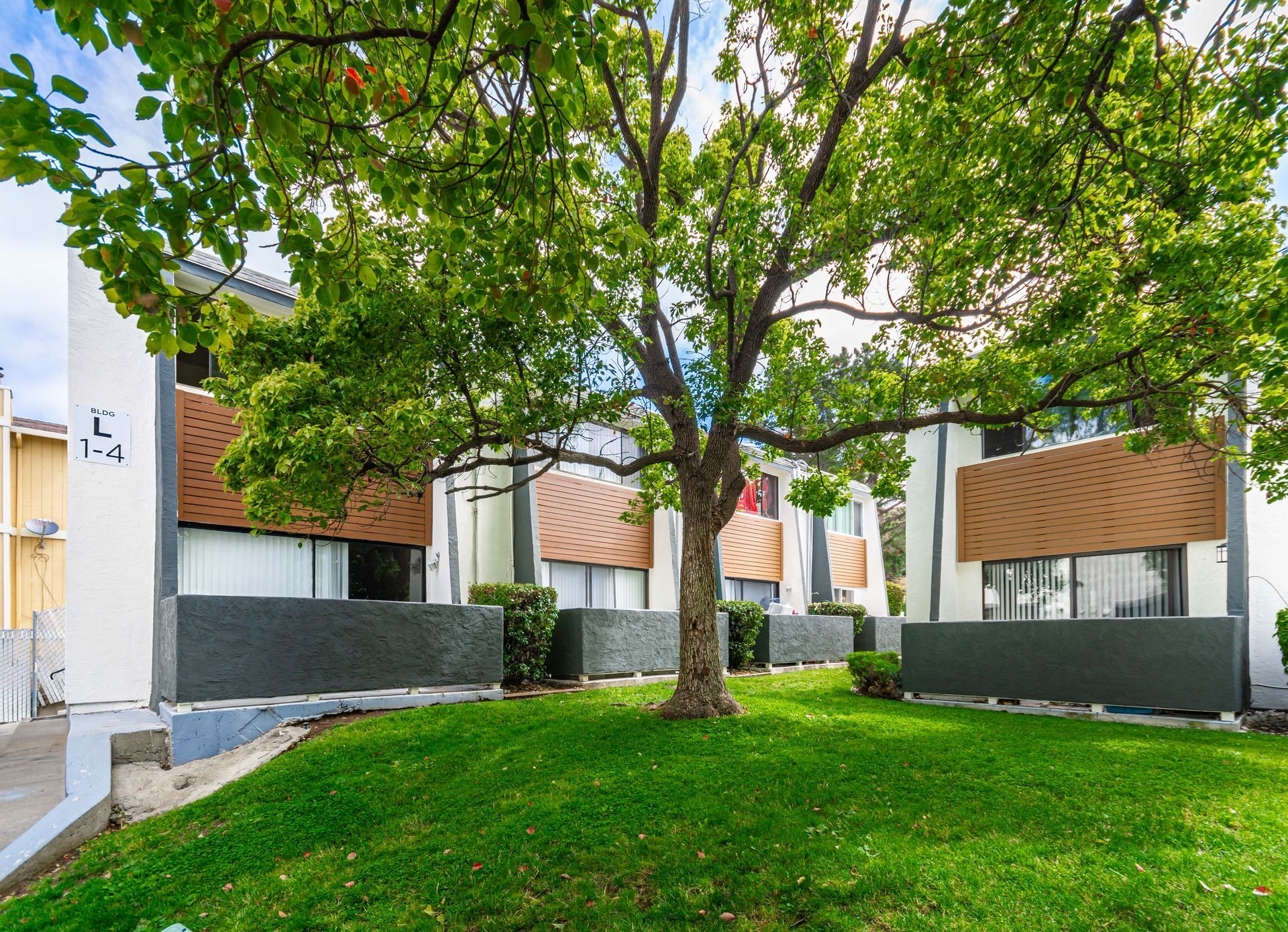 Courtyard with a large tree, green lawn, and modern apartment buildings with balconies around it