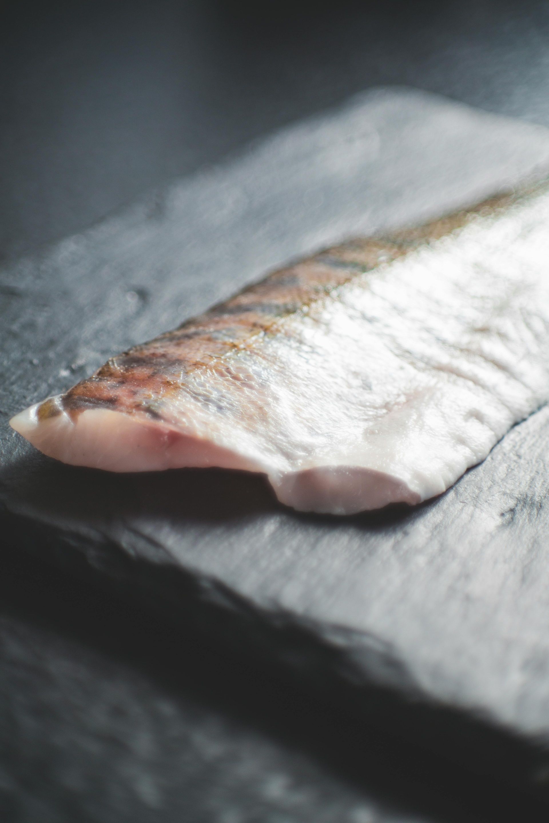 salmon tucson