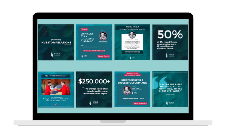 Live Webinar plan for Strut Consulting