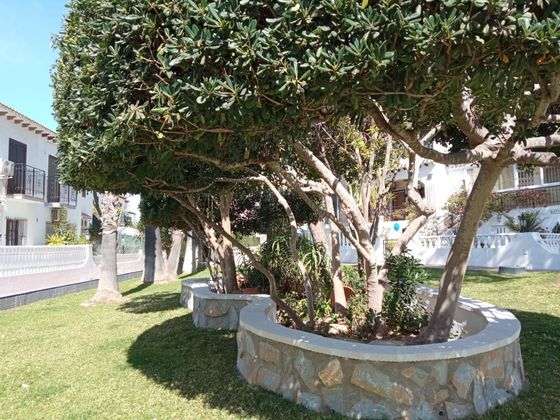 torrevieja playa de la mata casa del ancla camposol aquopolis parque del molino parque aromático zenia boulevar habaneras centro comercial