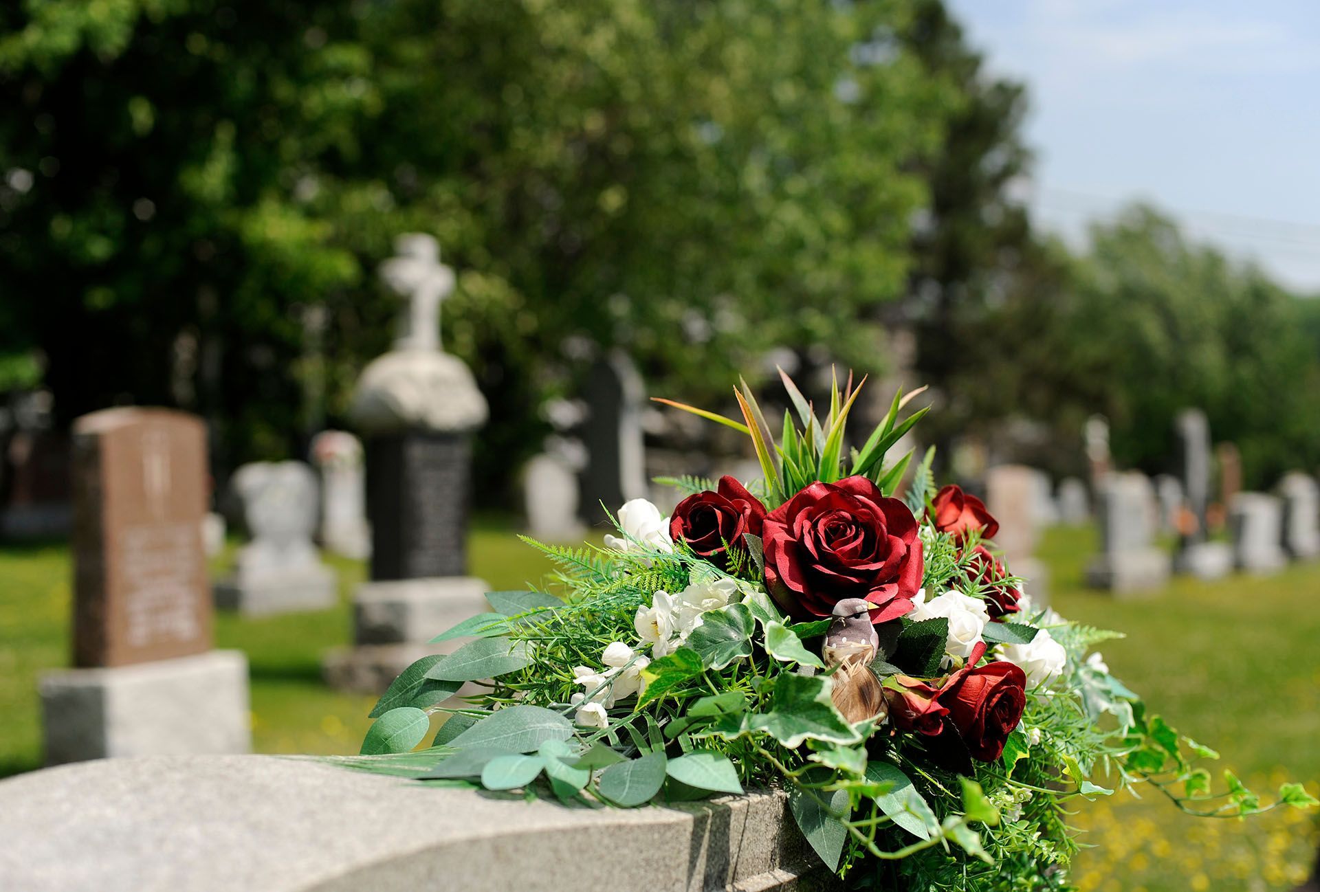 A bouquet of deep red roses and green foliage rests on a stone grave marker in a sunlit cemetery.