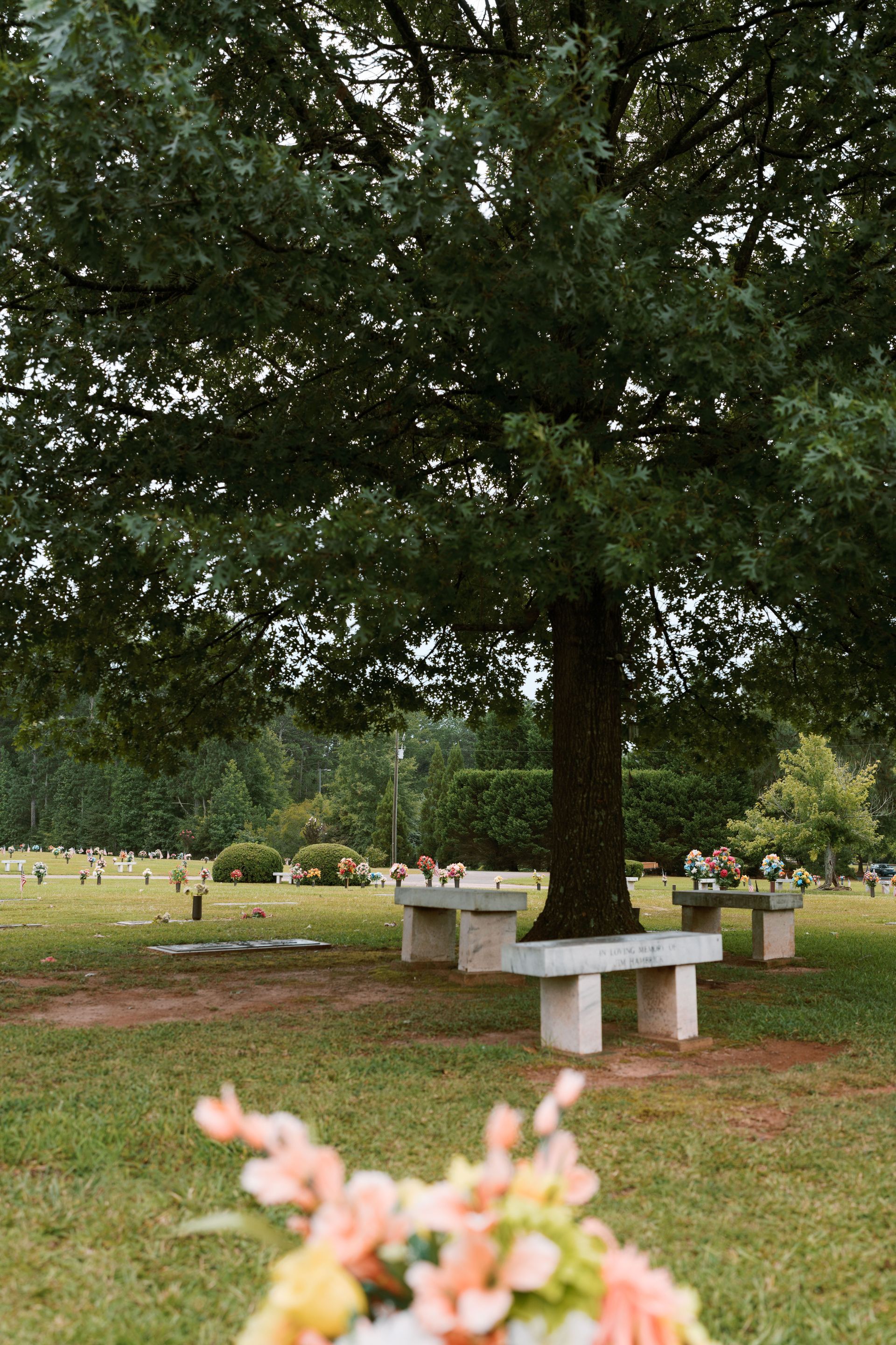 Stone benches arranged under a large, leafy tree in a peaceful cemetery, with out-of-focus flowers in the foreground.