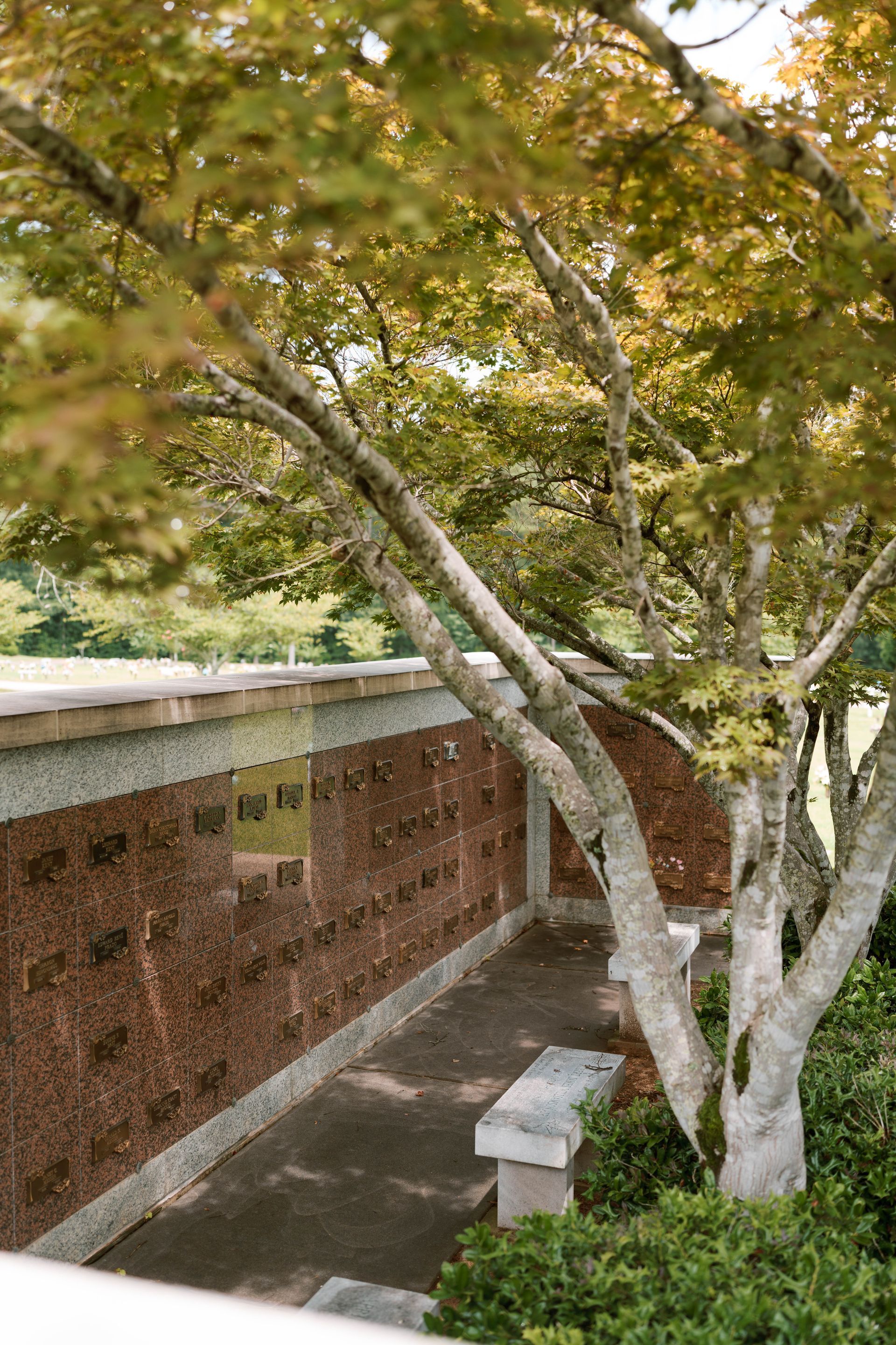 A stone columbarium wall with memorial plaques sits beneath a leafy tree beside a concrete bench.