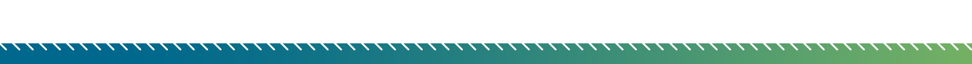 Blank white strip with a green dotted border along the top edge.