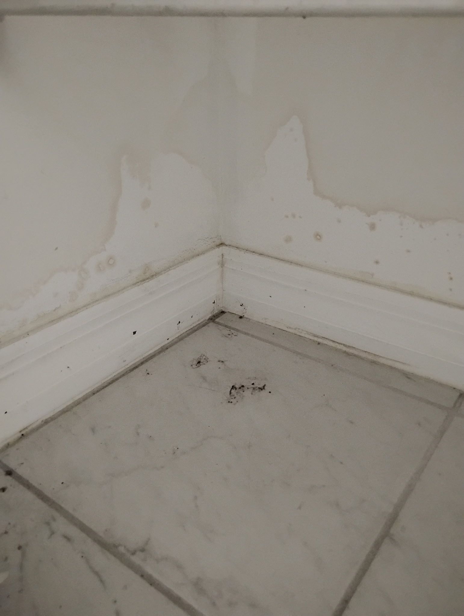 Water damage on a white wall and baseboard in a tiled corner, discoloration present.