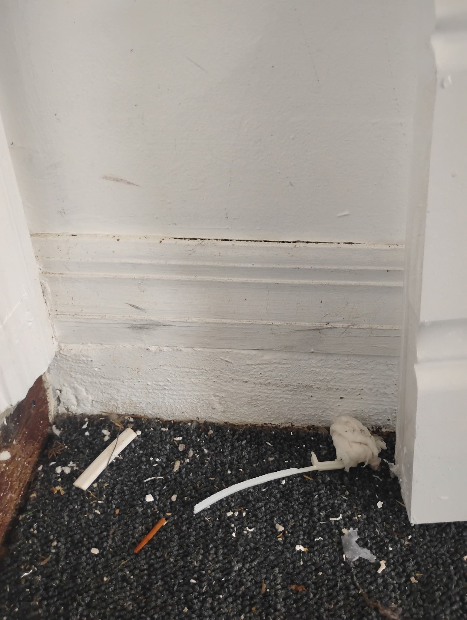 White painted trim and wall meet a black carpeted floor; debris is present.