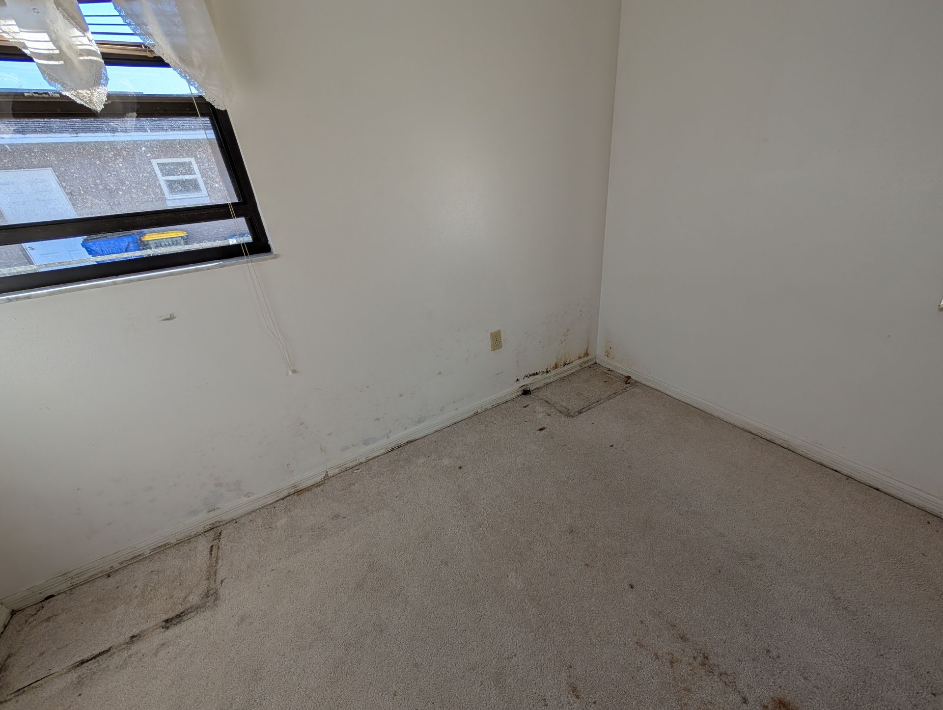 Empty room with window, white walls, and worn carpet.