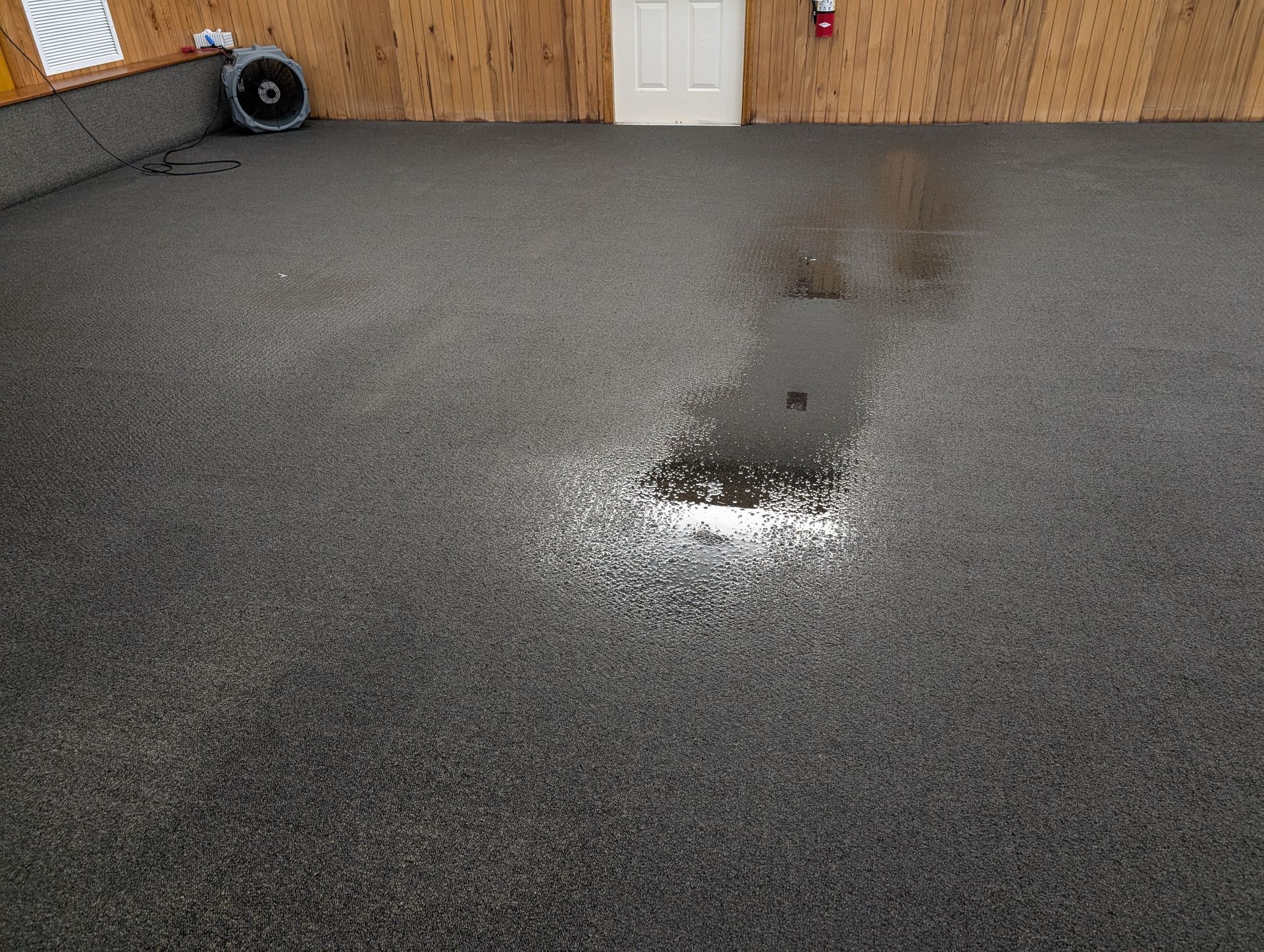 Dark gray epoxy floor with a puddle reflecting a white door and wood paneling.
