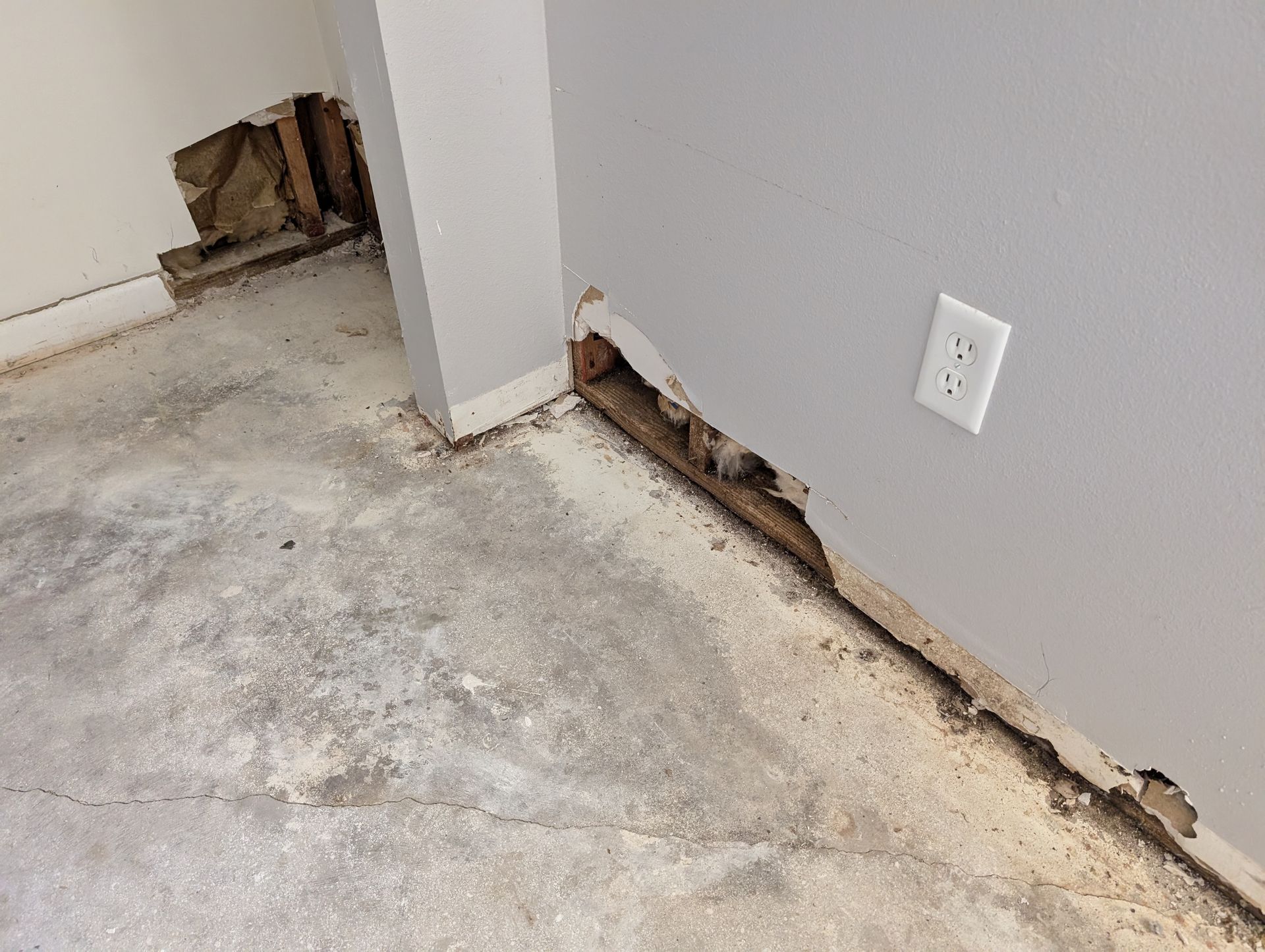 Damaged wall and floor in a corner of a room, exposing wooden studs. Gray walls, concrete floor, white outlet.