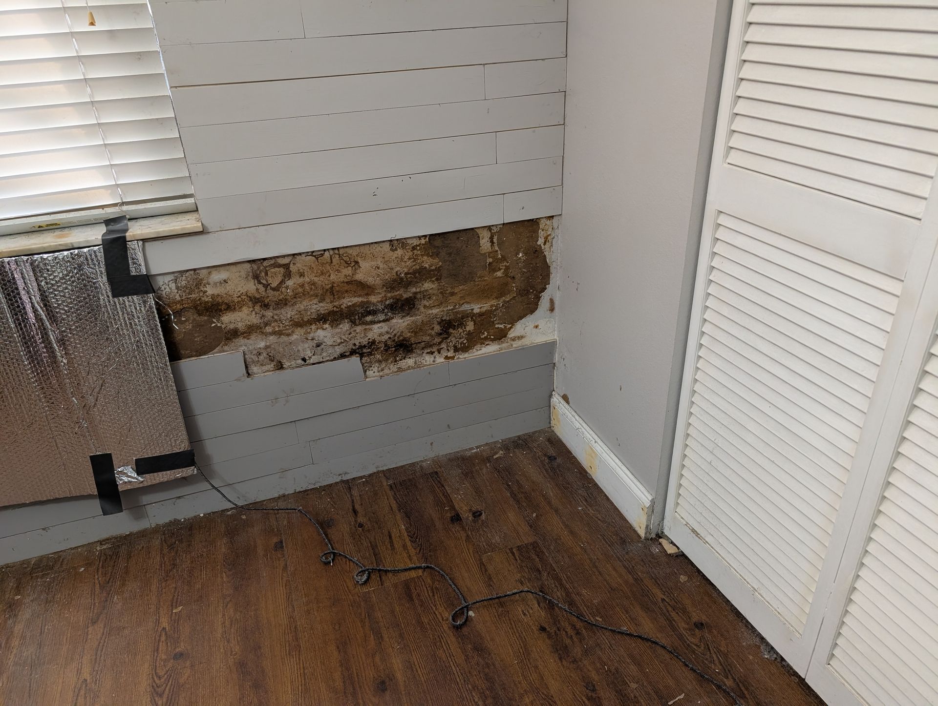 Wall with missing boards revealing water damage and mold. Wood-look flooring. Window blinds and closet door visible.