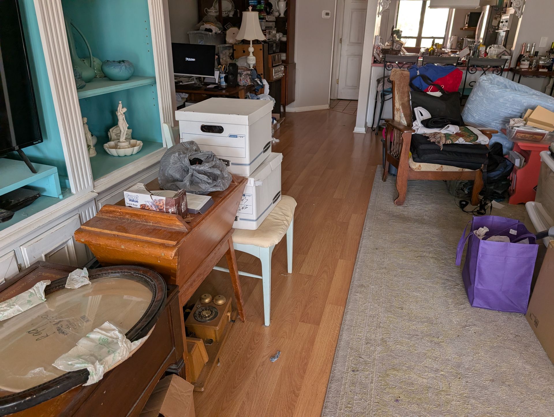 Cluttered living room: shelves, boxes, furniture, and a rug.