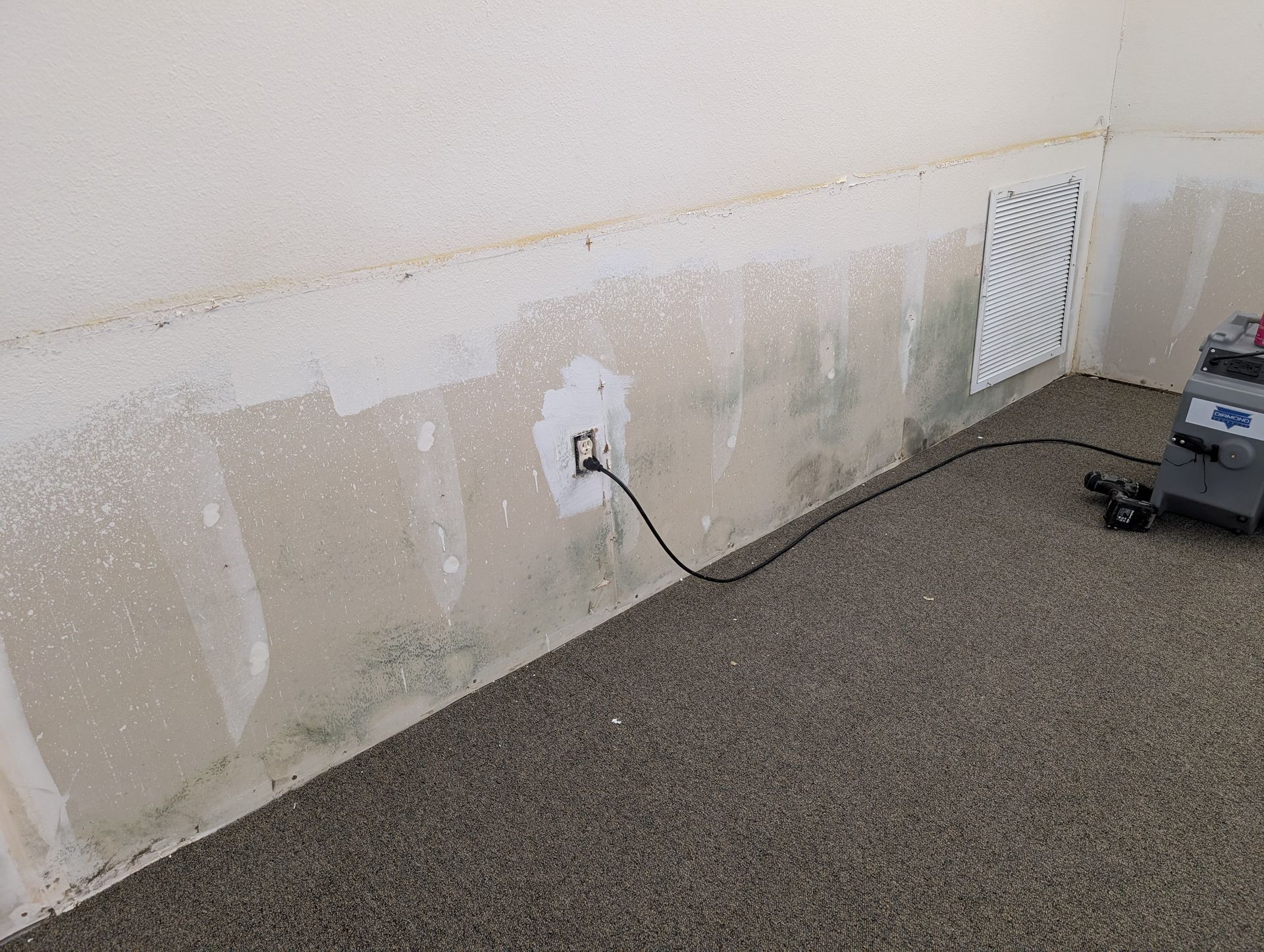 Wall with visible water damage and green mold, electrical outlet and vent in a room with carpet.