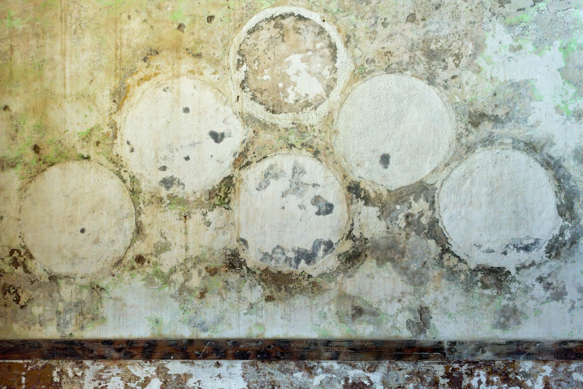 A close up of a wall with circles on it