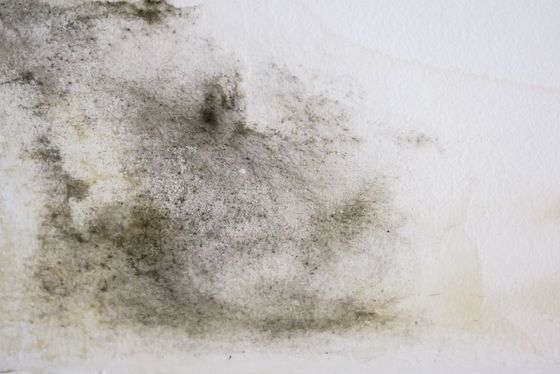 A close up of a white surface with black mold on it.