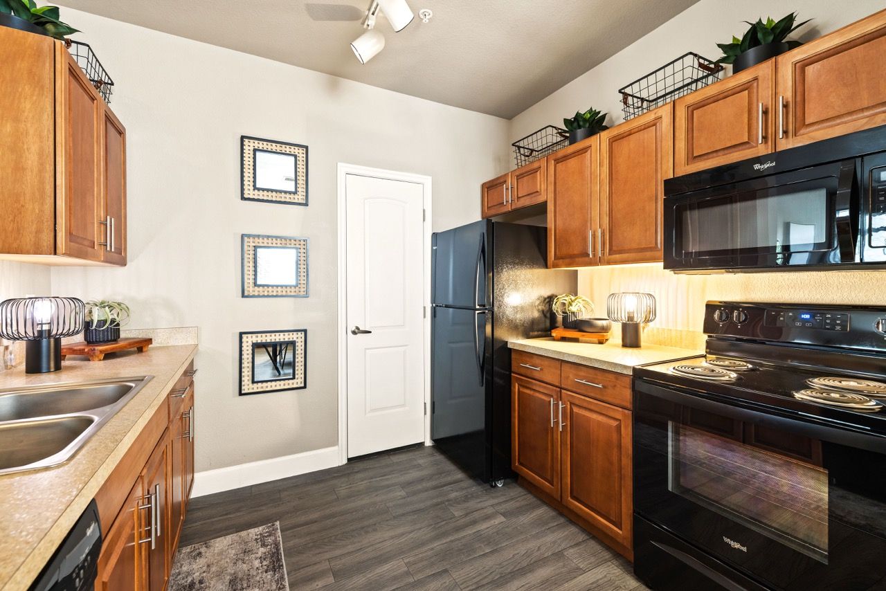 Kitchen in an apartment with wood cabinets, a black fridge, and a stove.