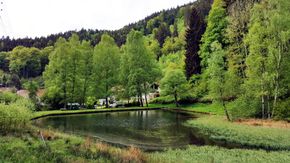 Möllbachweiher Elmstein