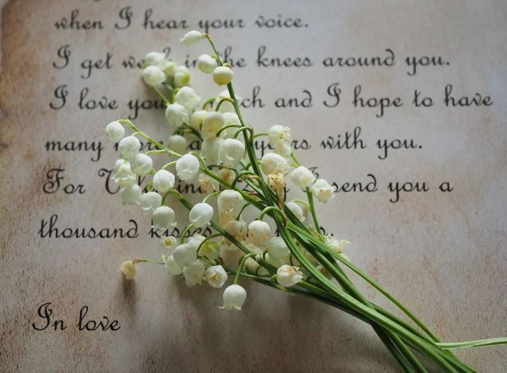 Small white flowers on vintage paper with loving words for a mother, cremation services Kathleen, GA