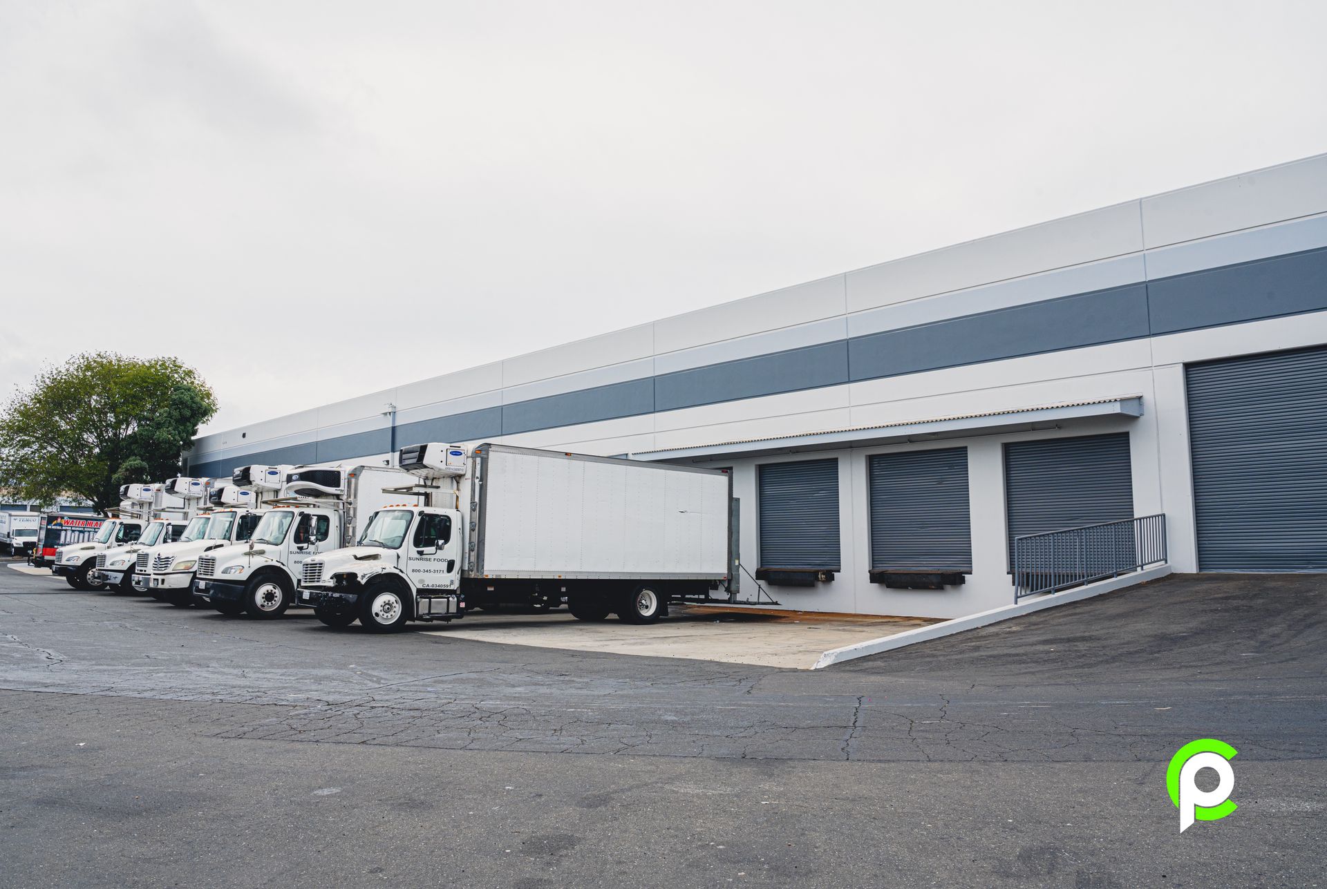 A row of white trucks are parked in front of a building.
