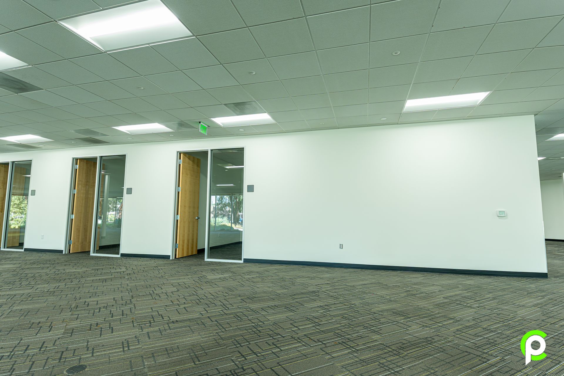 A large empty room with a lot of doors and a carpeted floor.